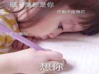 江苏住林木业有限公司