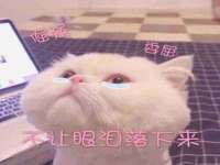 江苏住林木业有限公司