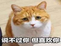 江苏住林木业有限公司