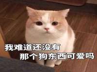 江苏住林木业有限公司