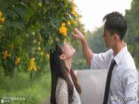 江苏住林木业有限公司