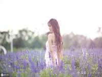 江苏住林木业有限公司