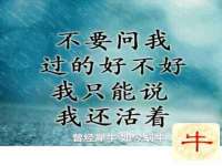 江苏住林木业有限公司