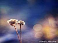 江苏住林木业有限公司