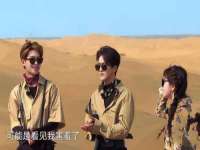 江苏住林木业有限公司