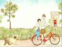 江苏住林木业有限公司