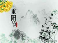 江苏住林木业有限公司