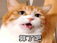 江苏住林木业有限公司