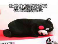 江苏住林木业有限公司