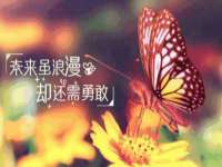 江苏住林木业有限公司