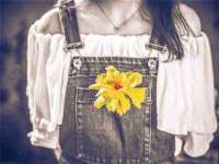 江苏住林木业有限公司