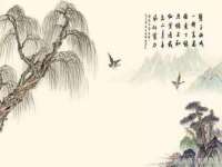 江苏住林木业有限公司