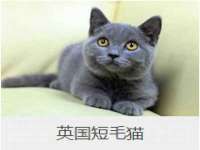 江苏住林木业有限公司