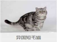 江苏住林木业有限公司
