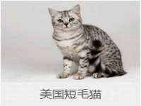 江苏住林木业有限公司