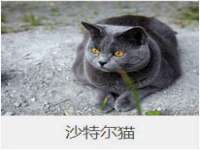 江苏住林木业有限公司