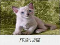 江苏住林木业有限公司
