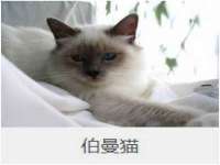 江苏住林木业有限公司