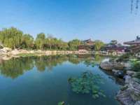 江苏住林木业有限公司