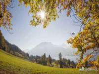 江苏住林木业有限公司