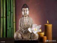 江苏住林木业有限公司