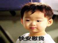 江苏住林木业有限公司