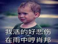 江苏住林木业有限公司