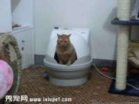 江苏住林木业有限公司