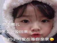 江苏住林木业有限公司