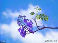 江苏住林木业有限公司
