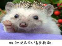 江苏住林木业有限公司