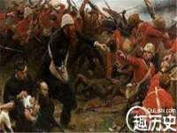 江苏住林木业有限公司