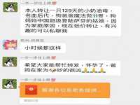 江苏住林木业有限公司