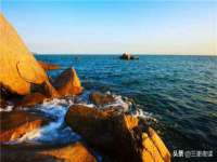 江苏住林木业有限公司