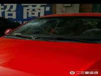 江苏住林木业有限公司