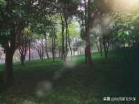 江苏住林木业有限公司