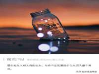 江苏住林木业有限公司