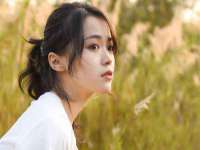 江苏住林木业有限公司
