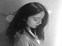 江苏住林木业有限公司