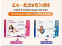 江苏住林木业有限公司