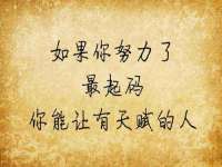江苏住林木业有限公司