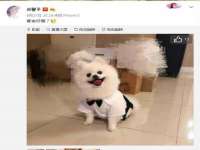 江苏住林木业有限公司