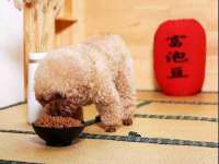 江苏住林木业有限公司