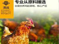 江苏住林木业有限公司
