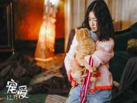 江苏住林木业有限公司