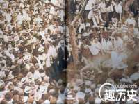 江苏住林木业有限公司