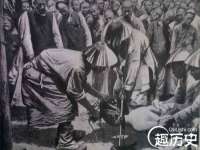 江苏住林木业有限公司