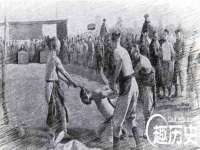 江苏住林木业有限公司