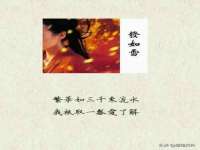 江苏住林木业有限公司