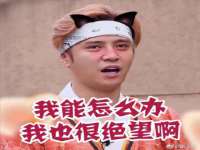 江苏住林木业有限公司